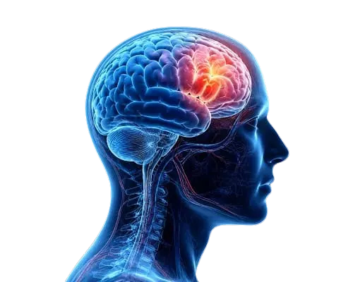 Neurotrauma 2027 Graphic